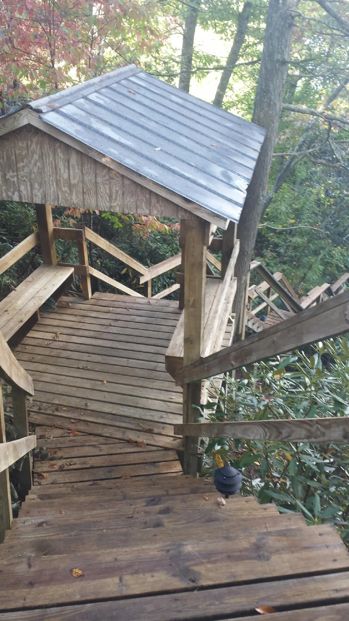 Metal roofed shelter over wooden steps on a wooded walkway — Skylight Repair & Installation work by our crew in Mantee